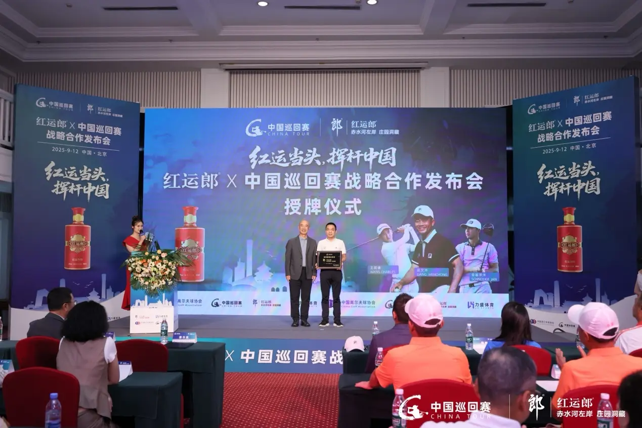 msn, 作为本次合