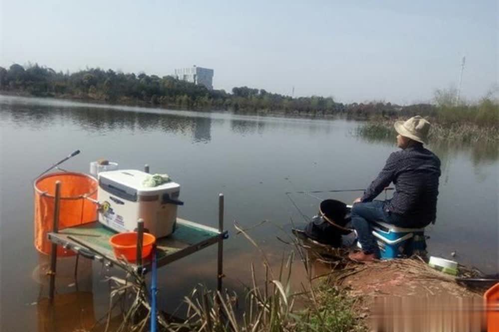 往往是在春, 竿抽窝 往往是在春, 竿抽窝